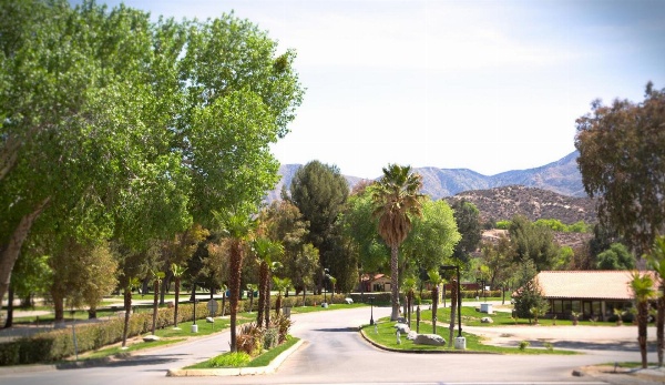 Soledad Canyon Cottage 5 image 6